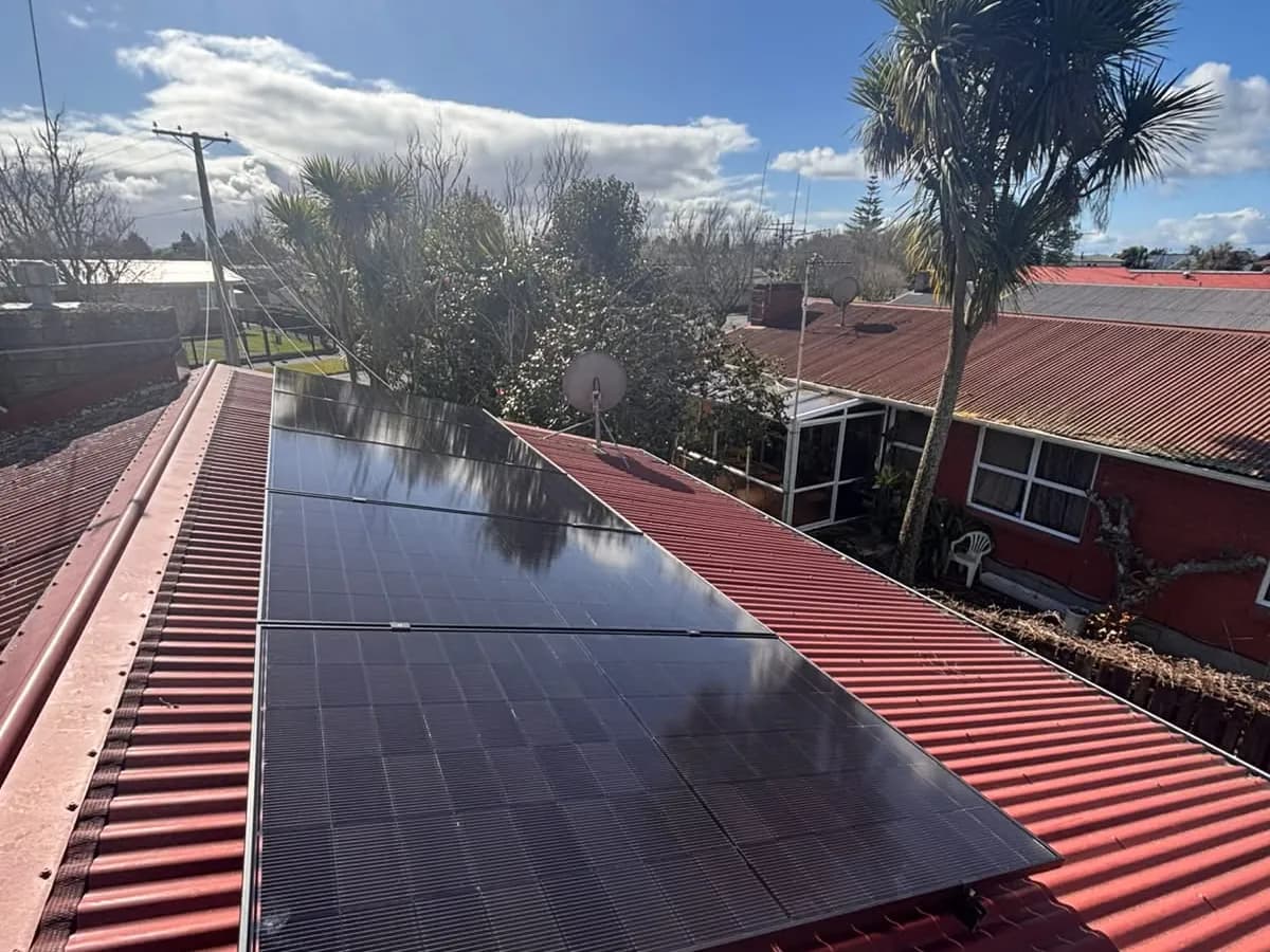 A 5.46kW EFS Solar array on a red roof in Hamilton, Waikato, cabbage tree behind